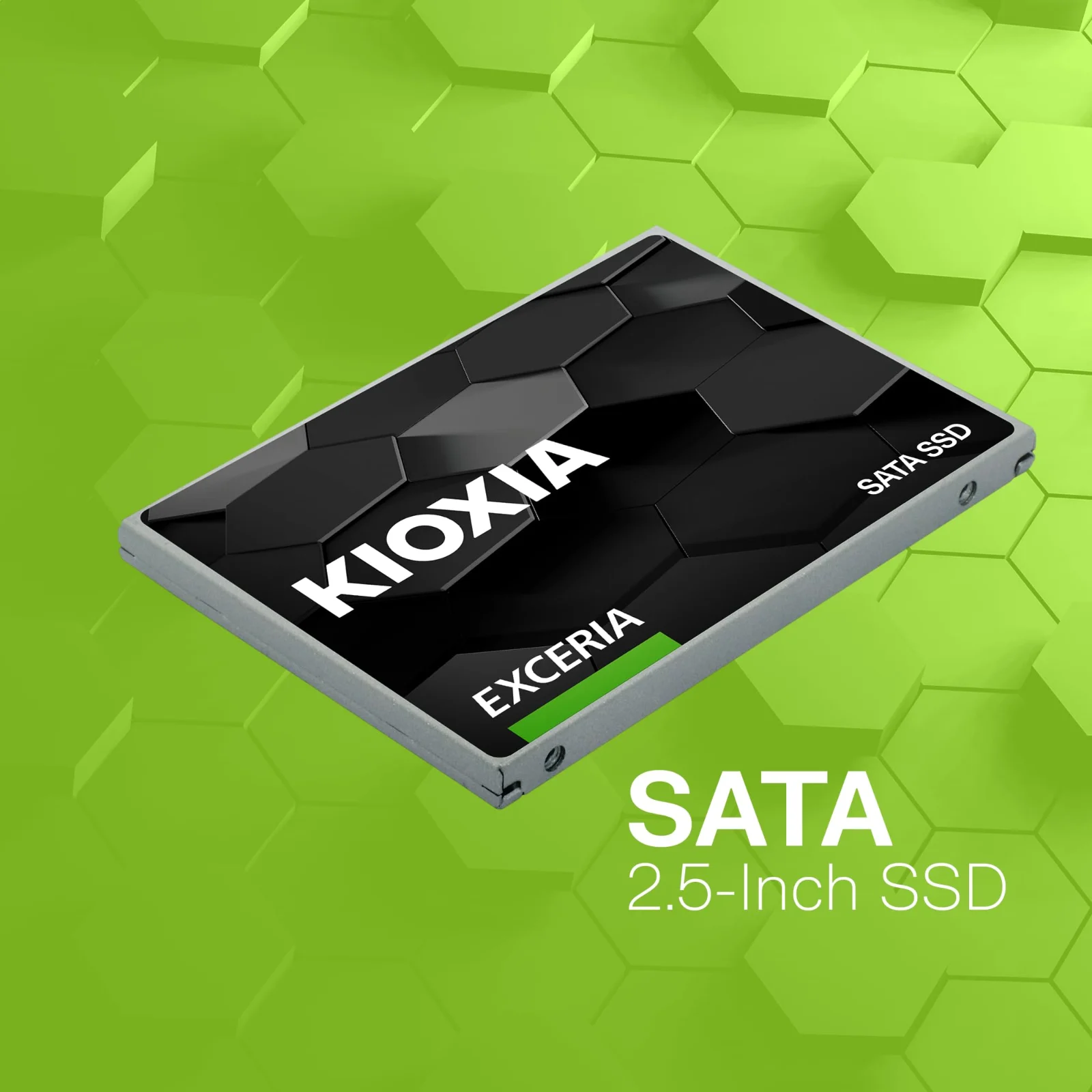Kioxia 480GB NTC10Z480GG8 2.5" SATA SSD görsel 1